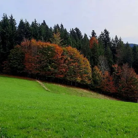 アパート Outdoor & Relax Blackforest Neukirch