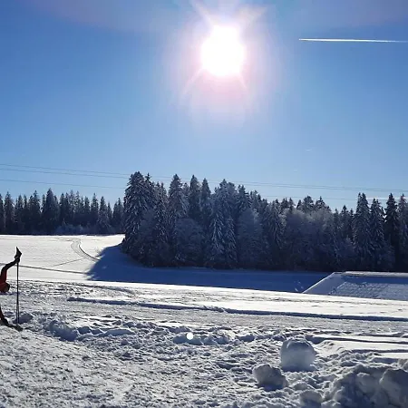 Διαμέρισμα Outdoor & Relax Blackforest Neukirch (Black Forest)