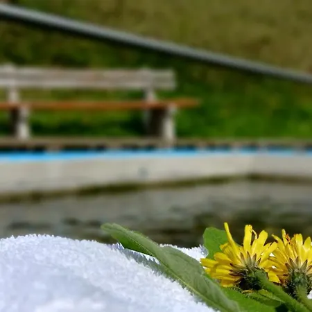 Outdoor & Relax Blackforest * Neukirch