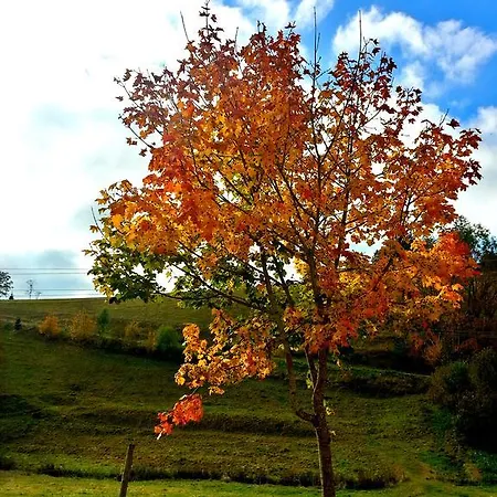 Apartment Outdoor & Relax Blackforest *