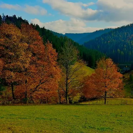 Outdoor & Relax Blackforest