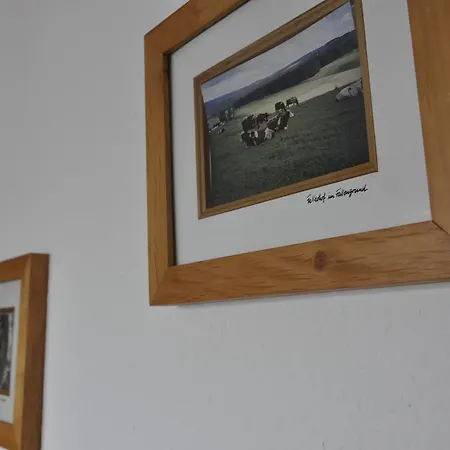 Outdoor & Relax Blackforest Apartment *