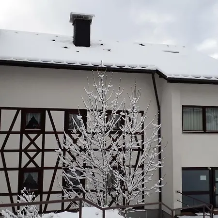 Outdoor & Relax Blackforest Apartment Neukirch (Black Forest)