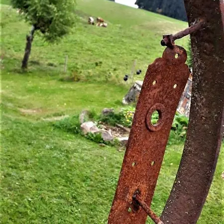 Outdoor & Relax Blackforest * Neukirch