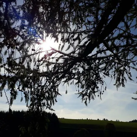 Apartment Outdoor & Relax Blackforest